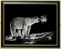 200-364 Arctic north